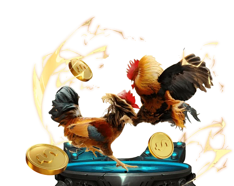 Ưu đãi đá gà tại zalv có